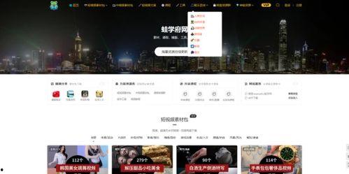 最新爆料视频在哪找的,探寻幕后真相的追踪之旅  第2张